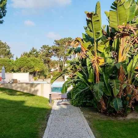 Appartamento Maravilhoso T1 D'el Rey *